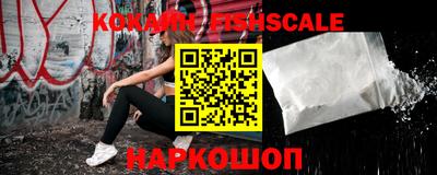 гидра Заводоуковск