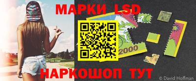 гидра Заводоуковск